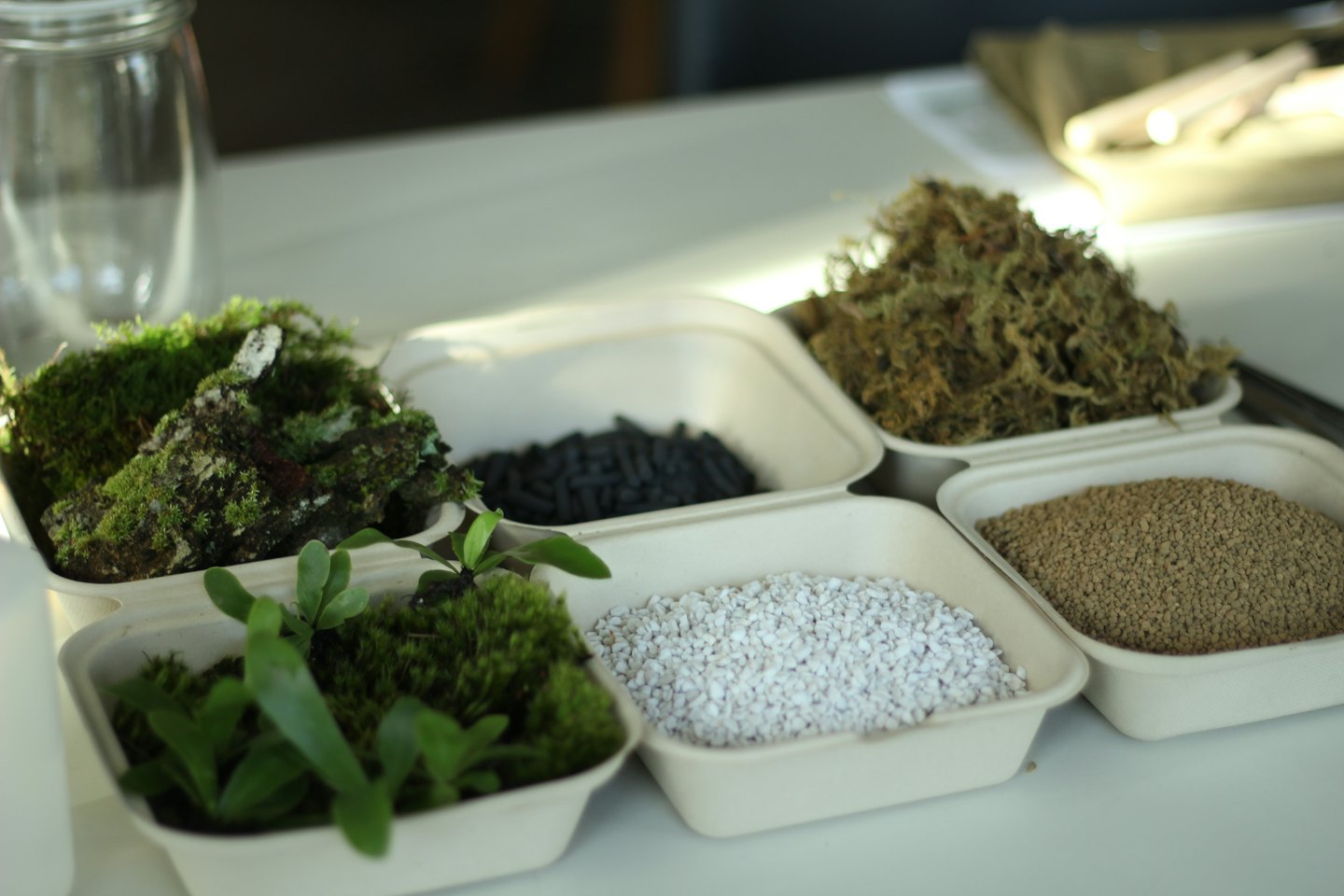 Materiały do projektu terrarium ułożone na białej powierzchni.