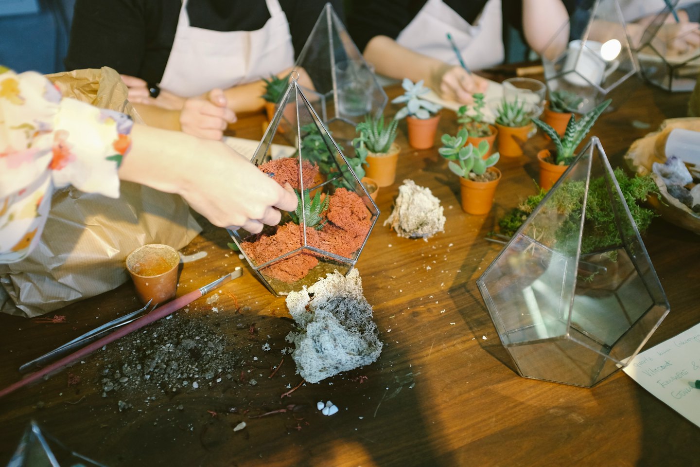 Dłonie układające rośliny w geometrycznym szklanym terrarium.