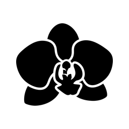 Botanicznewarsztaty
